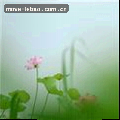 孙明